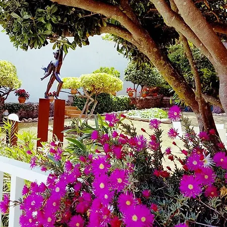 別荘 Casa Con Jardin A 30 Metros De La Playa. Vc. パラモス