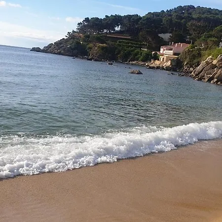 Casa Con Jardin A 30 Metros De La Playa. Vc. Holiday home