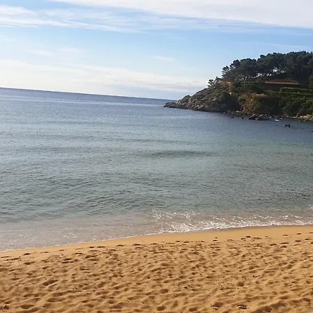 Casa Con Jardin A 30 Metros De La Playa. Vc. Holiday home *