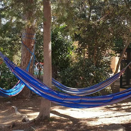 Casa Con Jardin A 30 Metros De La Playa. Vc. 別荘 パラモス