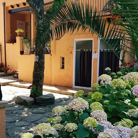 Casa Con Jardin A 30 Metros De La Playa. Vc. * פלאמוס